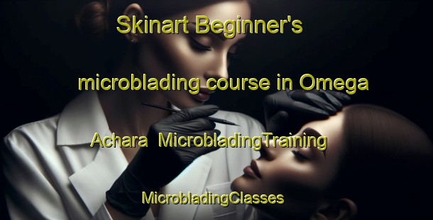 Skinart Beginner's microblading course in Omega Achara | MicrobladingTraining | MicrobladingClasses | SkinartTraining-Nigeria