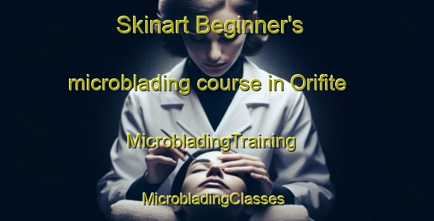 Skinart Beginner's microblading course in Orifite | MicrobladingTraining | MicrobladingClasses | SkinartTraining-Nigeria