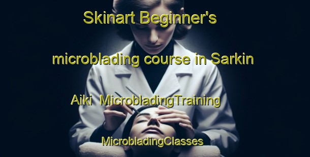 Skinart Beginner's microblading course in Sarkin Aiki | MicrobladingTraining | MicrobladingClasses | SkinartTraining-Nigeria