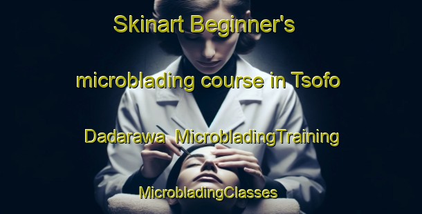 Skinart Beginner's microblading course in Tsofo Dadarawa | MicrobladingTraining | MicrobladingClasses | SkinartTraining-Nigeria