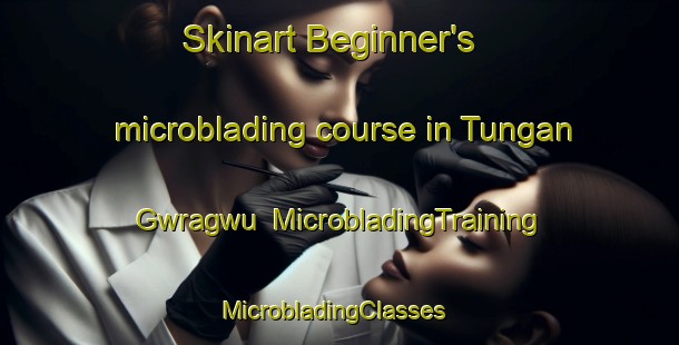 Skinart Beginner's microblading course in Tungan Gwragwu | MicrobladingTraining | MicrobladingClasses | SkinartTraining-Nigeria