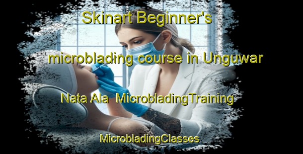Skinart Beginner's microblading course in Unguwar Nata Ala | MicrobladingTraining | MicrobladingClasses | SkinartTraining-Nigeria