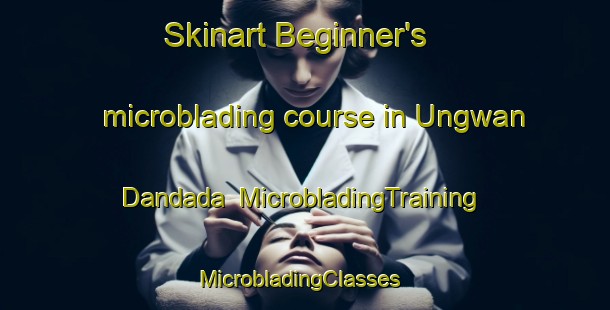 Skinart Beginner's microblading course in Ungwan Dandada | MicrobladingTraining | MicrobladingClasses | SkinartTraining-Nigeria