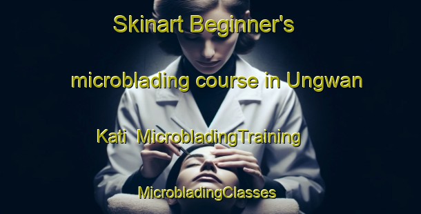 Skinart Beginner's microblading course in Ungwan Kati | MicrobladingTraining | MicrobladingClasses | SkinartTraining-Nigeria