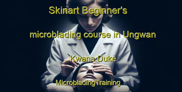 Skinart Beginner's microblading course in Ungwan Kwana Duke | MicrobladingTraining | MicrobladingClasses | SkinartTraining-Nigeria