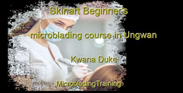 Skinart Beginner's microblading course in Ungwan Kwana Duke | MicrobladingTraining | MicrobladingClasses | SkinartTraining-Nigeria