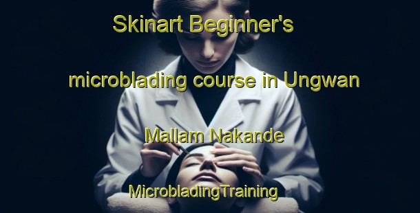 Skinart Beginner's microblading course in Ungwan Mallam Nakande | MicrobladingTraining | MicrobladingClasses | SkinartTraining-Nigeria