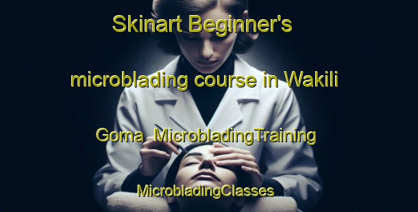 Skinart Beginner's microblading course in Wakili Goma | MicrobladingTraining | MicrobladingClasses | SkinartTraining-Nigeria