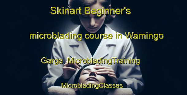 Skinart Beginner's microblading course in Wamingo Garga | MicrobladingTraining | MicrobladingClasses | SkinartTraining-Nigeria
