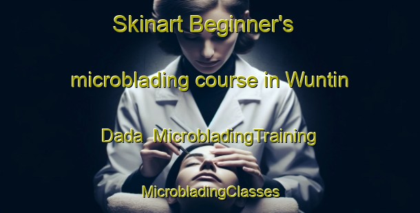 Skinart Beginner's microblading course in Wuntin Dada | #MicrobladingTraining #MicrobladingClasses #SkinartTraining-Nigeria