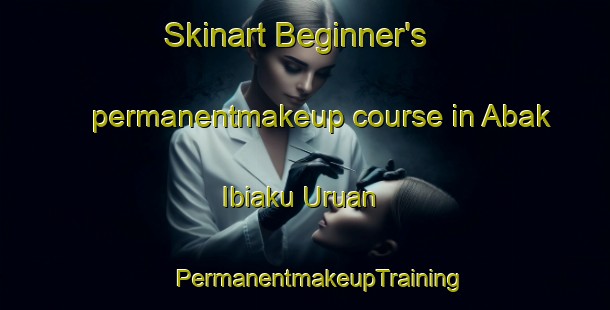 Skinart Beginner's permanentmakeup course in Abak Ibiaku Uruan | #PermanentmakeupTraining #PermanentmakeupClasses #SkinartTraining-Nigeria