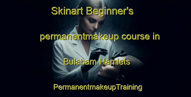 Skinart Beginner's permanentmakeup course in Bulabam Hamlets | PermanentmakeupTraining | PermanentmakeupClasses | SkinartTraining-Nigeria