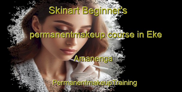 Skinart Beginner's permanentmakeup course in Eke Amanenga | #PermanentmakeupTraining #PermanentmakeupClasses #SkinartTraining-Nigeria