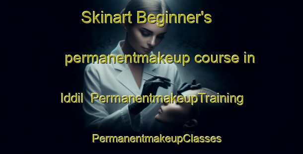 Skinart Beginner's permanentmakeup course in Iddil | PermanentmakeupTraining | PermanentmakeupClasses | SkinartTraining-Nigeria