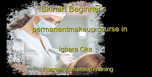 Skinart Beginner's permanentmakeup course in Igbara Oke | PermanentmakeupTraining | PermanentmakeupClasses | SkinartTraining-Nigeria