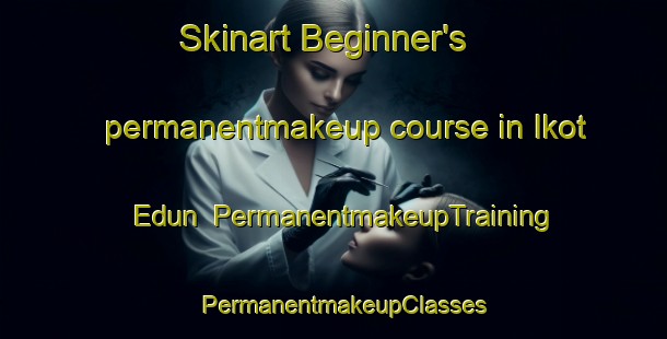 Skinart Beginner's permanentmakeup course in Ikot Edun | PermanentmakeupTraining | PermanentmakeupClasses | SkinartTraining-Nigeria