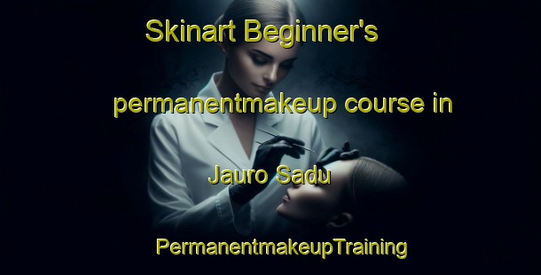 Skinart Beginner's permanentmakeup course in Jauro Sadu | #PermanentmakeupTraining #PermanentmakeupClasses #SkinartTraining-Nigeria