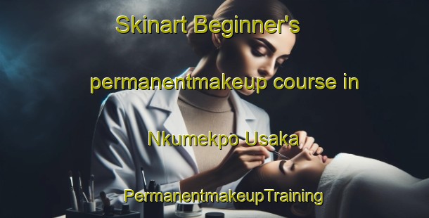 Skinart Beginner's permanentmakeup course in Nkumekpo Usaka | #PermanentmakeupTraining #PermanentmakeupClasses #SkinartTraining-Nigeria