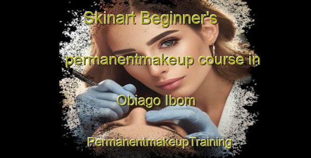 Skinart Beginner's permanentmakeup course in Obiago Ibom | PermanentmakeupTraining | PermanentmakeupClasses | SkinartTraining-Nigeria