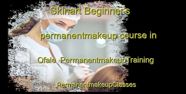 Skinart Beginner's permanentmakeup course in Ofale | PermanentmakeupTraining | PermanentmakeupClasses | SkinartTraining-Nigeria
