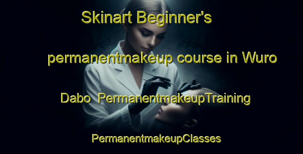 Skinart Beginner's permanentmakeup course in Wuro Dabo | PermanentmakeupTraining | PermanentmakeupClasses | SkinartTraining-Nigeria