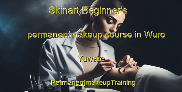 Skinart Beginner's permanentmakeup course in Wuro Yuware | PermanentmakeupTraining | PermanentmakeupClasses | SkinartTraining-Nigeria