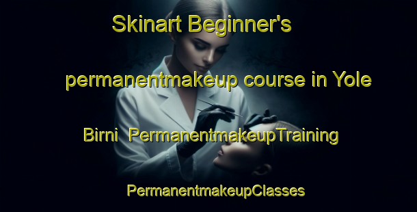 Skinart Beginner's permanentmakeup course in Yole Birni | PermanentmakeupTraining | PermanentmakeupClasses | SkinartTraining-Nigeria