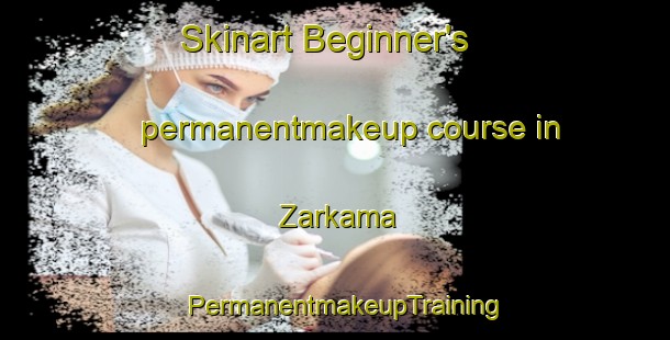 Skinart Beginner's permanentmakeup course in Zarkama | PermanentmakeupTraining | PermanentmakeupClasses | SkinartTraining-Nigeria