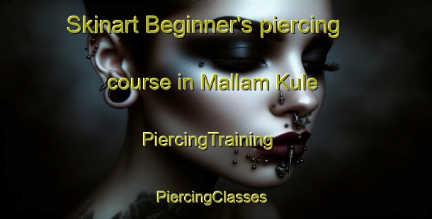Skinart Beginner's piercing course in Mallam Kule | PiercingTraining | PiercingClasses | SkinartTraining-Nigeria