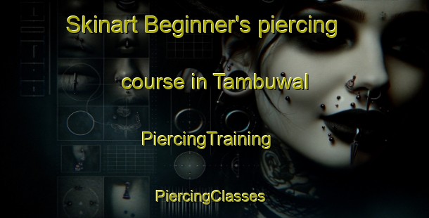 Skinart Beginner's piercing course in Tambuwal | PiercingTraining | PiercingClasses | SkinartTraining-Nigeria