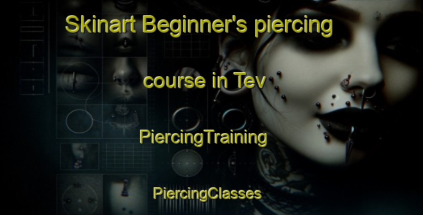 Skinart Beginner's piercing course in Tev | PiercingTraining | PiercingClasses | SkinartTraining-Nigeria