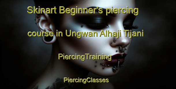 Skinart Beginner's piercing course in Ungwan Alhaji Tijani | PiercingTraining | PiercingClasses | SkinartTraining-Nigeria