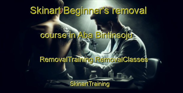 Skinart Beginner's removal course in Aba Bintinsoju | #RemovalTraining #RemovalClasses #SkinartTraining-Nigeria