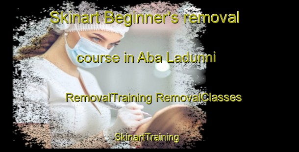 Skinart Beginner's removal course in Aba Ladunni | #RemovalTraining #RemovalClasses #SkinartTraining-Nigeria