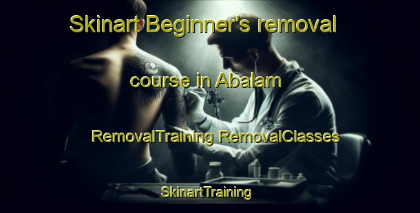 Skinart Beginner's removal course in Abalam | #RemovalTraining #RemovalClasses #SkinartTraining-Nigeria