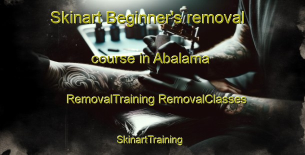 Skinart Beginner's removal course in Abalama | #RemovalTraining #RemovalClasses #SkinartTraining-Nigeria