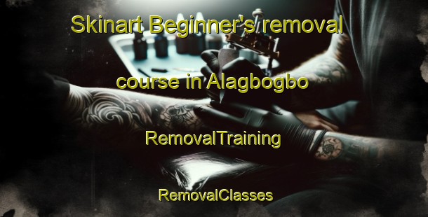 Skinart Beginner's removal course in Alagbogbo | RemovalTraining | RemovalClasses | SkinartTraining-Nigeria