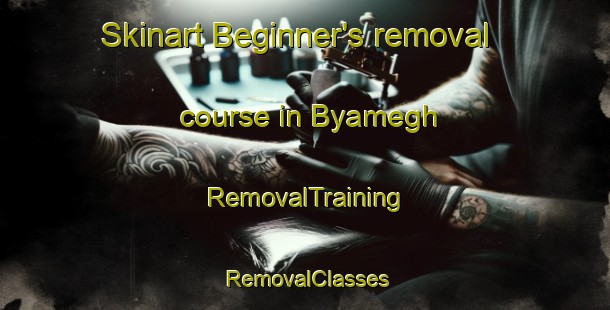 Skinart Beginner's removal course in Byamegh | RemovalTraining | RemovalClasses | SkinartTraining-Nigeria
