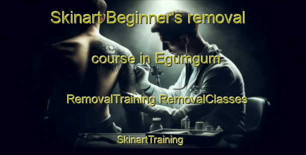 Skinart Beginner's removal course in Egumgum | #RemovalTraining #RemovalClasses #SkinartTraining-Nigeria