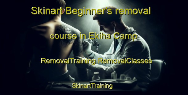 Skinart Beginner's removal course in Ekiha Camp | #RemovalTraining #RemovalClasses #SkinartTraining-Nigeria