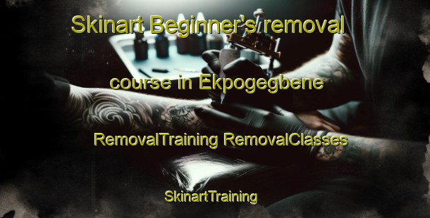 Skinart Beginner's removal course in Ekpogegbene | #RemovalTraining #RemovalClasses #SkinartTraining-Nigeria