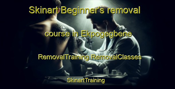 Skinart Beginner's removal course in Ekpogegbene | #RemovalTraining #RemovalClasses #SkinartTraining-Nigeria