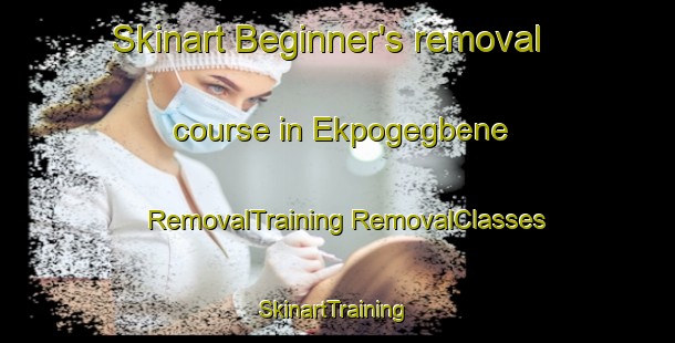 Skinart Beginner's removal course in Ekpogegbene | #RemovalTraining #RemovalClasses #SkinartTraining-Nigeria