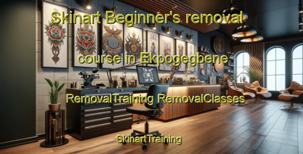 Skinart Beginner's removal course in Ekpogegbene | #RemovalTraining #RemovalClasses #SkinartTraining-Nigeria