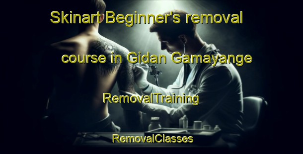 Skinart Beginner's removal course in Gidan Gamayange | RemovalTraining | RemovalClasses | SkinartTraining-Nigeria