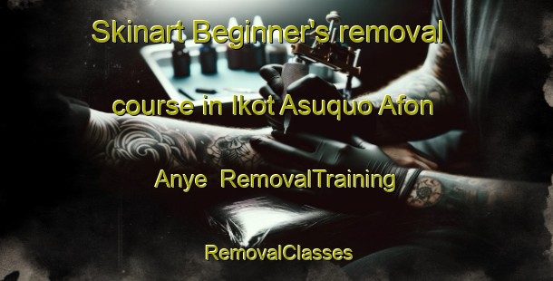Skinart Beginner's removal course in Ikot Asuquo Afon Anye | RemovalTraining | RemovalClasses | SkinartTraining-Nigeria