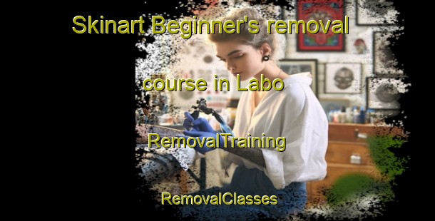 Skinart Beginner's removal course in Labo | RemovalTraining | RemovalClasses | SkinartTraining-Nigeria