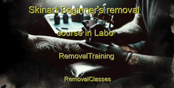 Skinart Beginner's removal course in Labo | RemovalTraining | RemovalClasses | SkinartTraining-Nigeria