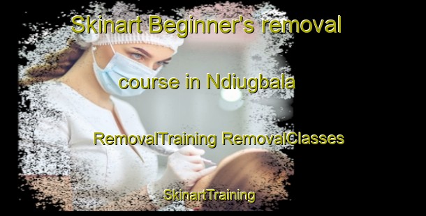 Skinart Beginner's removal course in Ndiugbala | #RemovalTraining #RemovalClasses #SkinartTraining-Nigeria