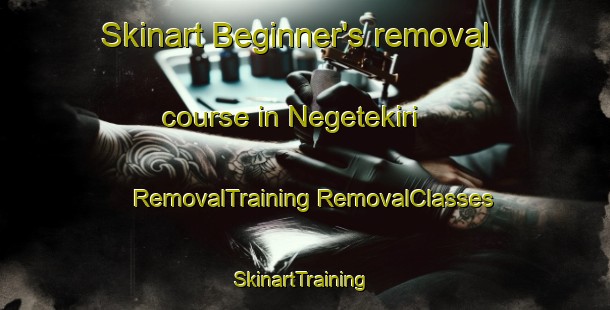 Skinart Beginner's removal course in Negetekiri | #RemovalTraining #RemovalClasses #SkinartTraining-Nigeria